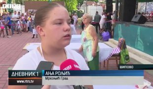 Дневник 1