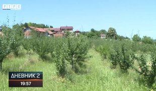 Дневник 2