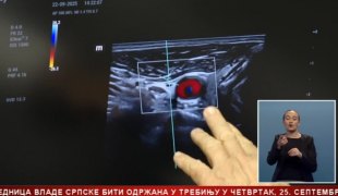 Српска Данас