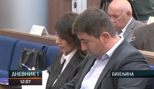 Дневник 1