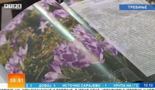 Јутарњи програм