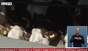 Српска Данас