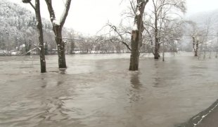 Јутарњи програм