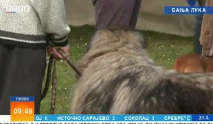 Јутарњи програм