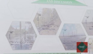 Квадрат на знање