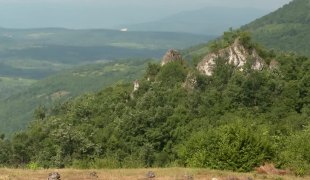 Јутарњи програм