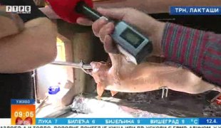 Јутарњи програм