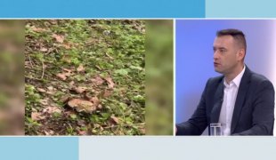 Јутарњи програм