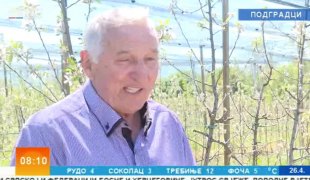 Јутарњи програм