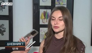 Дневник 1