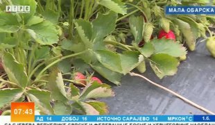 Јутарњи програм