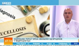Јутарњи програм