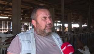 Јутарњи програм