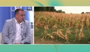 Јутарњи програм