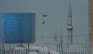 Документарни програм
