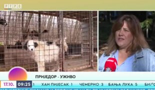 Јутарњи програм