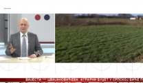 Српска Данас