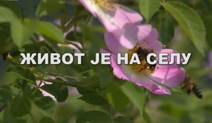 Живот је на селу